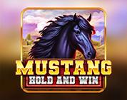 Mustang Hold and Win